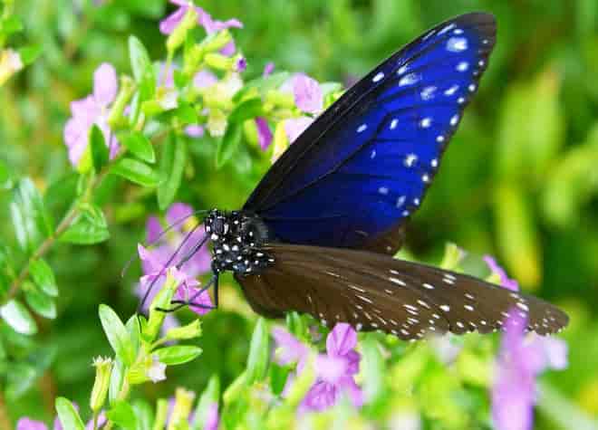 �c�}�����T�L�}�_��